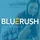 BLUERUSH Media Group Corp icon